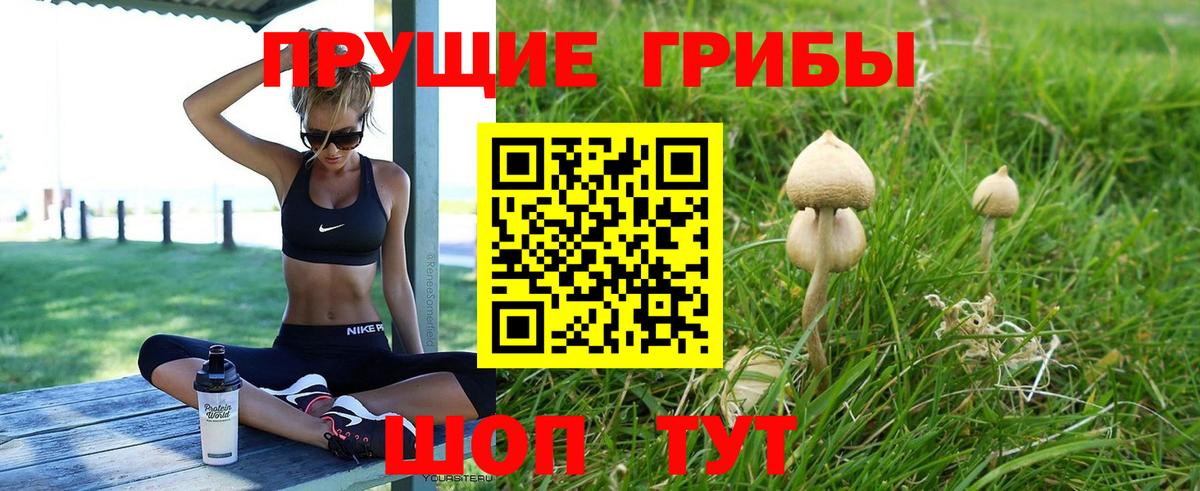 Псилоцибиновые грибы GOLDEN TEACHER Похвистнево